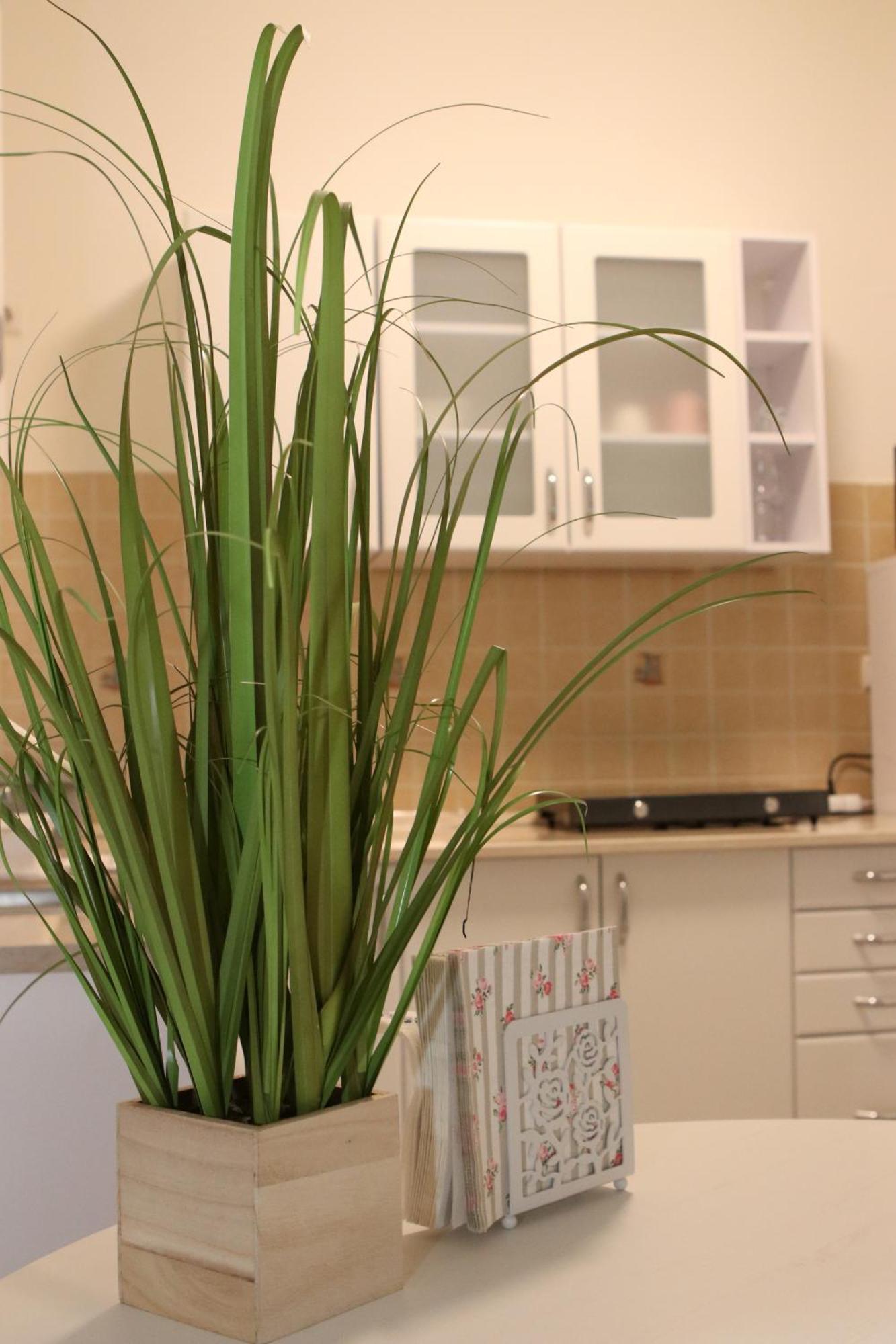 Tulipan Apartman Gödöllő エクステリア 写真